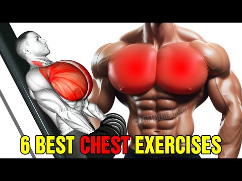 The Most Effective Exercises for HUGE Chest