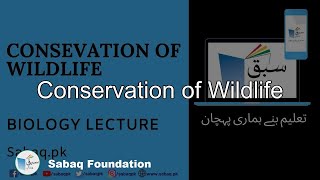 Conservation of Wildlife