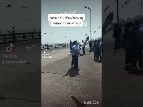 8กุมภาพันธ์ค.ศ.2025 แท็กซี่ พาไปดู 8กุมภาพันธ์ค.ศ.2025