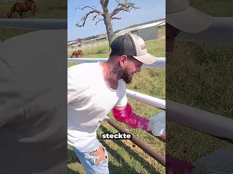Zaun mit Handschuh und Farbeimer streichen