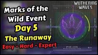 The Runaway Puzzle Guide in Marks of the Wild Event Day 5 | Wuthering Waves 2.6