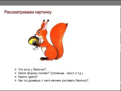 Изучить видео как поэтапно маркерами рисовать белку