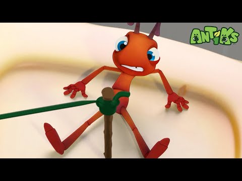 OUCH! 😨 | ANTIKS 🐜 | Old MacDonald's Farm | Animal Cartoons for Kids