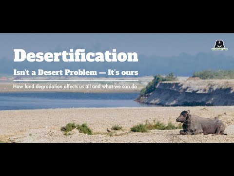 Watch our exclusive webinar, “Desertification Isn’t a Desert Problem — It’s Ours”.