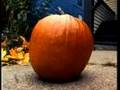 The Tale of a Pumpkin's Ordeal
