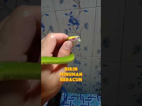 BIKIN R4CUN‼️😱 #alam #reptil #satwa #snake #tips