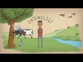 Entomology: Concepts and Applications