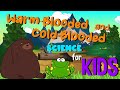 Warm-Blooded vs Cold-Blooded Animals