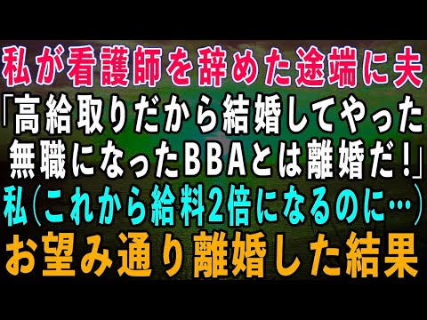 【スカッとする話】私が看護師を辞めた途端に、夫「高給取りだから結婚してやった！無職のBBAとは離婚だ！」私「わかった（これから給料2倍になるのに…）」→お望み通り離婚した結果