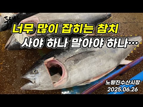 너무 많이 잡히는  참치🐟 이걸  사야 하나 말아야 하나…😱  이번 주는 뭐먹나? 회·게 다 비싼데… 이걸  싸게 싸게 먹는 방법이...