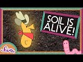 Soil Health and Ecosystem Interactions