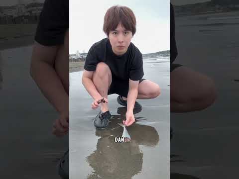 Apakah bisa memancing cacing laut? #feedshorts