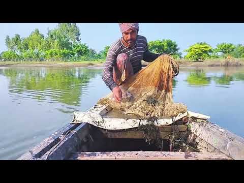 Most Popular Cast Net Fishing in Village River - Net Fishing With Beautiful Boat Natural (Part-29)