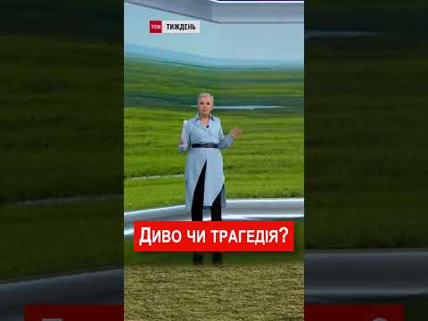 ВИРІС ЛІС ВИЩЕ 7 МЕТРІВ! Що сталося із дном Каховського моря? / ТСН.Тиждень