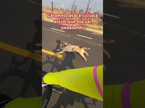 Caramelo ataca ciclista assim que ela sai pedalando #motivação #ciclismo #bike #cachorro