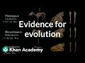 Understanding Evolution and Natural Selection