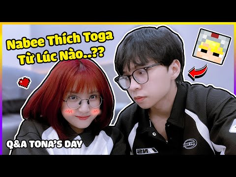 (Q&A) NABEE THÍCH TÔ GÀ TỪ LÚC NÀO.?,... - TONA'S DAY | Nabee TV