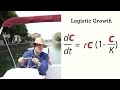 Logistic Growth Model in Bacteria