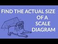 Finding Actual Length Using Scale