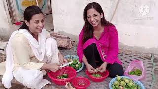 Sonia Nay Pakiya Saag Sath Alia Kay Bethreen Vlog | Joint Family