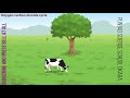 Photosynthesis and Respiration Concepts