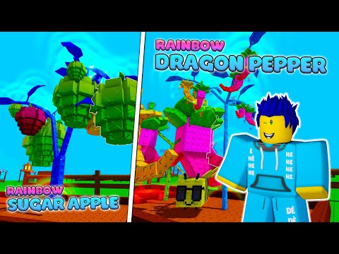 Bùm Trồng Dragon Peper RAINBOW| Phá Đảo MỌI THỨ Trong Update Grow A Garden