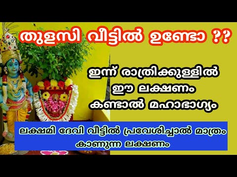 ഇന്ന് രാത്രിക്കുള്ളിൽ ഈ ലക്ഷണം കണ്ടാൽ മഹാഭാഗ്യം...tulsi vivah 2024