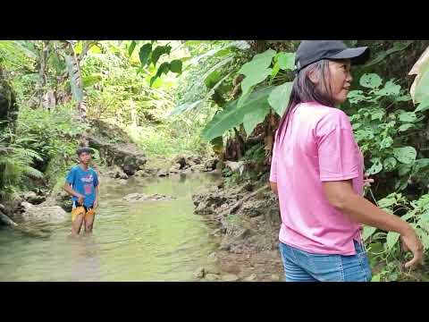 WATERFALLS FOR SALE FOR ONLY 2.5M INABANGA BOHOL