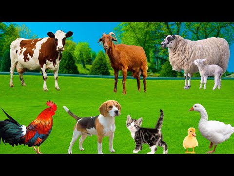 Cute Animal Sounds: Baby Goat, Kitten, Chick, Puppy, Duckling, Cow,...