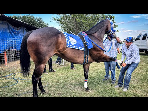 El Fiscal Vs El Avispón | Nuevo León Vs Chihuahua “El Rey De Chihuahua En Rancho El Texano