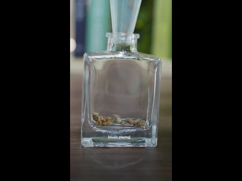 if youโre a tiny ant in Japan and need a new home hit up @MOSSGREEN #DIY #terrarium #moss