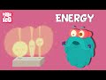 Understanding Energy Concepts and Transformations