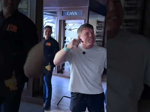 Pelea vs canelo #humor #canelo