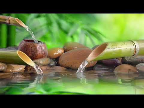 Healing Piano Music & Bamboo Water Fountain | Nature Sounds, Stress Relief, Sleep Music, Spa & Yoga