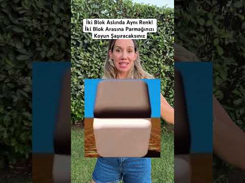 İki blok aslında aynı renk, iki blok arasına parmağınızı koyun, farkı görün!