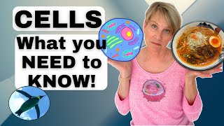 Animal Cells: What You NEED to KNOW! | Bio Basics 🐧