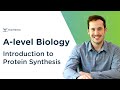 DNA and Protein Synthesis Concepts