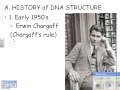 DNA Structure and Function Concepts
