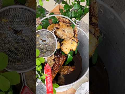 খাঁটি মধু চেনার জন্য কী কী করলো বর 🤣