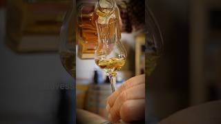 PISCO CHILENO Destilado Latino para o Mundo #pisco #piscochile #chile #piscochileno #drinks