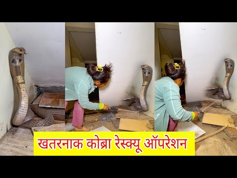 😱😱भल्या मोठ्या नागाला जिन्याच्या खालून कसा बाहेर काढला पाहा 😳😳