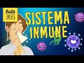 Sistema Inmune y Respuestas del Cuerpo
