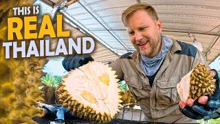 This is REAL Thailand! / Hidden in the Jungles / Motorbike Adventures in Chumphon 2025