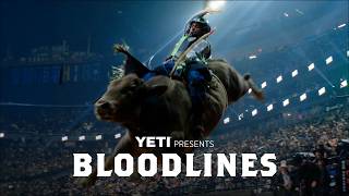World Champion Bull Rider Takes Us Inside the Evolution of PBR Bulls