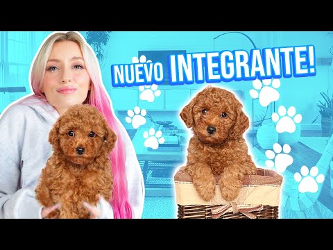 RESCATAMOS UN PERRITO Y LO ADOPTAMOS!!! 😱🐶💕 | 17 Ago 2021