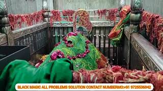 HAZRAT MAMU HAMZA SHAHID R.A || KHADIM SAIYED TANVEZ HUSSIN TARIK HUSSAIN ||#viral #dargah