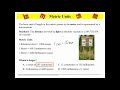 Metric Measurement: Length Essentials