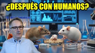 Científicos chinos logran que 2 ratones MACHOS tengan DESCENDENCIA sin ADN hembra