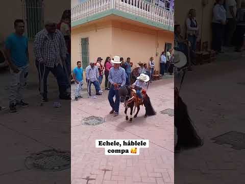 Buen jinete #viralvideo #viral