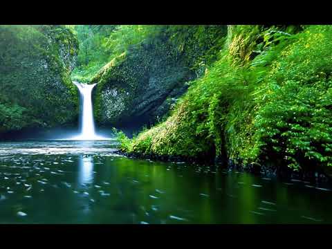 Beautiful Waterfall Deep In The Forest